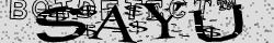 Retype the CAPTCHA code from the image